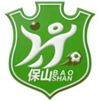 保山队